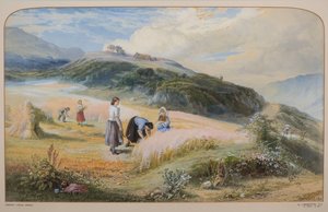 Campo de Colheita, Arran de John MacWhirter