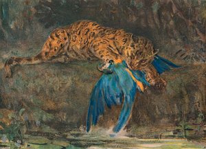 Jaguar e Arara, final do século XIX