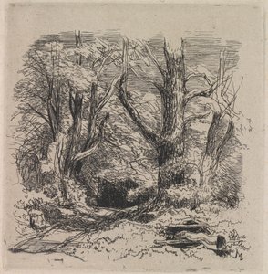 Um Caminho através da Madeira