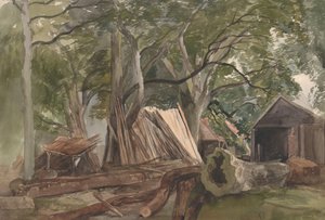 Limpeza com uma serraria, 1847 .