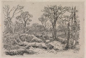 Madeira cortada, Burningham