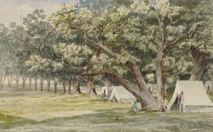 Um bosque de Cottonwood de John Mix Stanley
