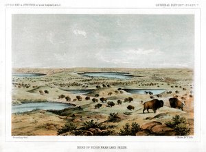 Rebanho do bisonte perto do lago Jessie, Dakota do Norte, EUA, 1856.