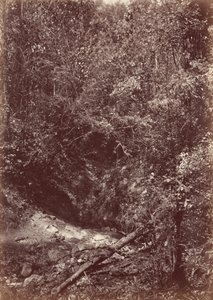 Expedição Darien, 1871 (foto) de John Moran