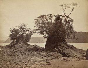Ilhas em Lemon Bay, 1871. de John Moran