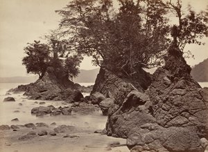 Cenário Tropical, Baía de Limon - Maré Baixa, 1871.
