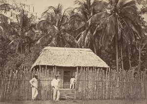 Tropical Scenery, Native Hut, Turbo, 1871.