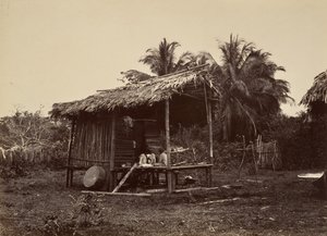 Cenário Tropical, Cabana Nativa, Turbo, 1871. de John Moran