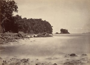 Cenário Tropical, Vista da Baía de Limon, 1871.
