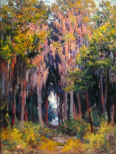 Hanging Moss, St. Petersburg (óleo sobre tela)