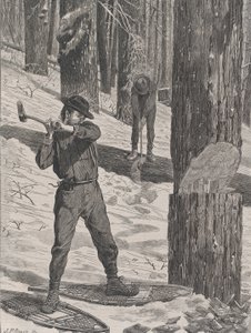 Pesando no inverno todos os sábados, Vol. II, Nova Série, 28 de janeiro de 1871.