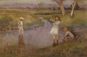 Minnows captura - cidade Meadows, Maidstone, Kent de John Pedder