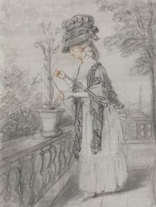 Senhora num Terraço a Cuidar de uma Fábrica de Cravos de John Raphael Smith