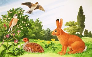 No canto de um campo de John Rignall