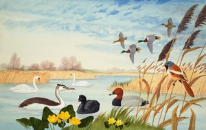 Cena da natureza (guache sobre papel) de John Rignall