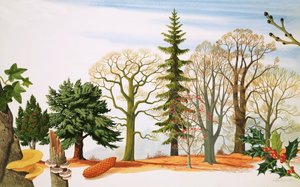 Árvores no inverno de John Rignall