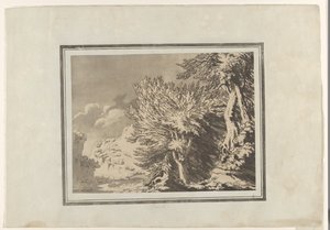 Faia de John Robert Cozens