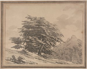 Delineamentos das Ramificações de Caráter Geral e Folhagem de Árvores Florestais: Cedro, 1789. de John Robert Cozens