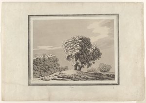 Elm de John Robert Cozens