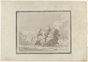 Castanha da Índia de John Robert Cozens