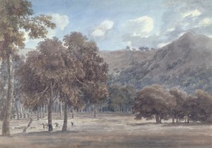 Il Parco da Degé &39;Astroni - O fundo da cratera arborizada com caça em andamento, 1783 (grafite e wc no papel)