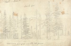 No Tirol de John Robert Cozens