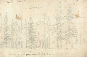 No Tirol de John Robert Cozens