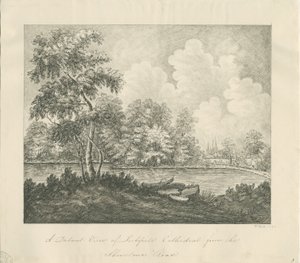 Catedral de Lichfield - Vista Oeste Sudoeste (distante): desenho a caneta de John Robert Fernyhough