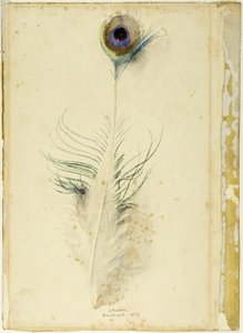 Pena de pavão de John Ruskin