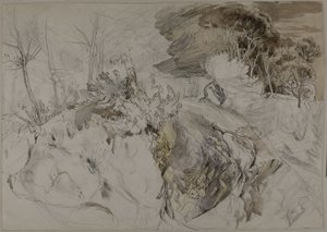 Arbustos e árvores na paisagem rochosa de John Ruskin