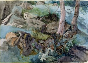 Estudo de rochas e samambaias em uma floresta em Crossmount, Perthshire, 1843 (wc no papel)