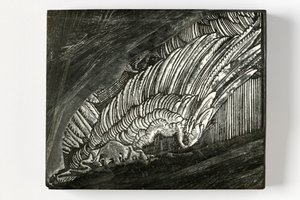 "Asa" de Durer (bloco de madeira gravado) de John Ruskin