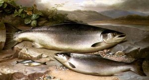 Peixes Natureza Morta de John Russell