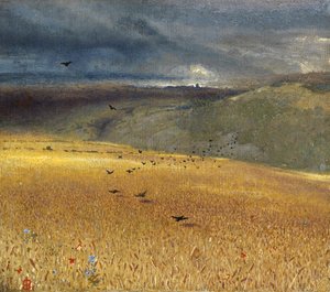 Campo de trigo
