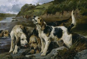 Caça às lontras, ou no perfume, 1881