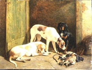 Ponteiros e um Setter Gordon