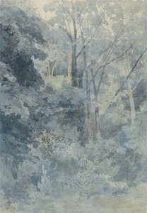 No parque de Rokeby de John Sell Cotman
