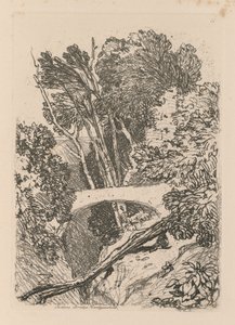 Estudos estão Placa livre 11 Parsons Ponte Cardingshire de 1838. de John Sell Cotman