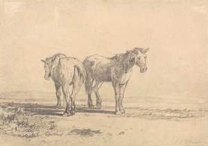 Dois cavalos velhos parados num campo de John Sell Cotman