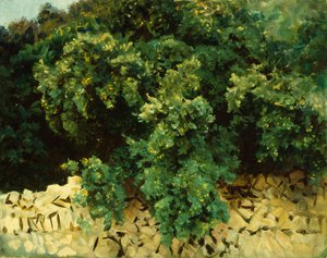 Madeira de Ilex, Maiorca de John Singer Sargent