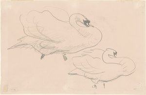 Estudos de um Cisne, 1880-1900. de John Singer Sargent