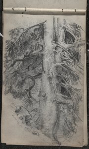Estudo de uma árvore, 1871-72 (grafite sobre papel de seda esbranquiçado escuro) de John Singer Sargent
