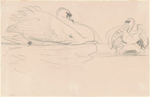 Cisnes na água de John Singer Sargent