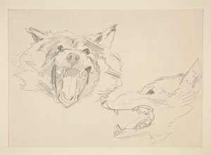 Duas visões de um lobo de John Singer Sargent