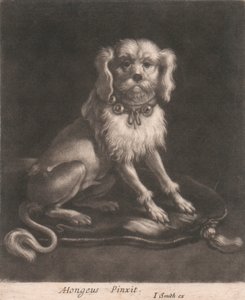 Um cão pequeno, usando uma coleira com sinos. de John Smith