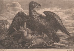 Águia e Lebre de John Smith
