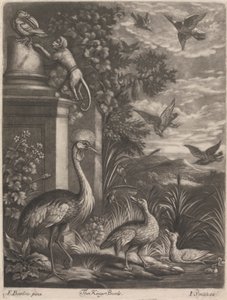 Os Reis Pássaros de John Smith