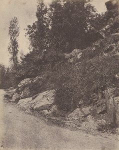 [Paisagem rural com estrada].