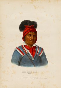 Foke-luste-ajo, um Seminole