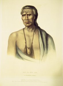 Retrato de Lap-pa-win-soe, 1837 (mão colorida litho)